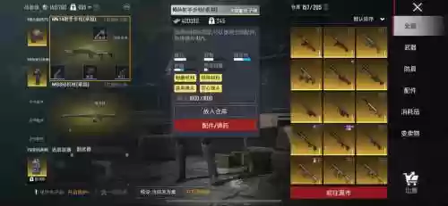吃鸡最强装备插图