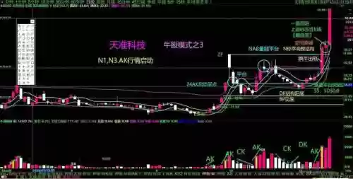 牛股阵容插图