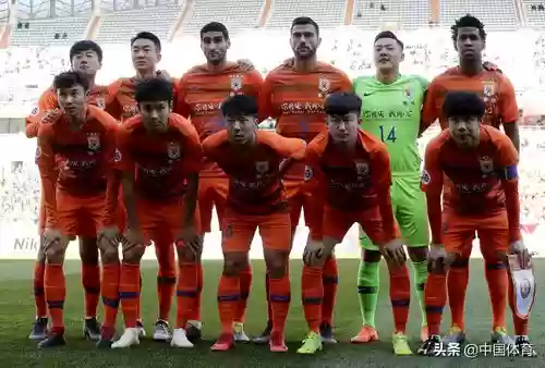 鲁能阵容2019插图