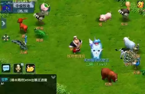 梦幻西游牧场鸡啥时候卖插图1