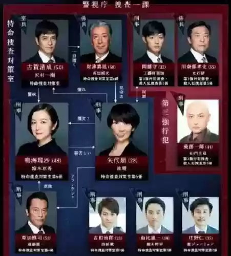 波瑠阵容插图