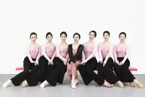 舞蹈培训阵容插图