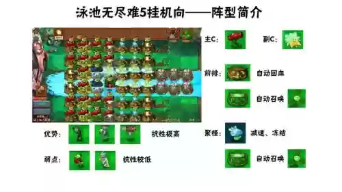 浓雾泳池阵容插图1
