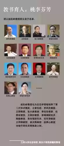 教授95阵容插图