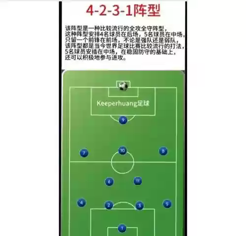 4231阵容介绍插图