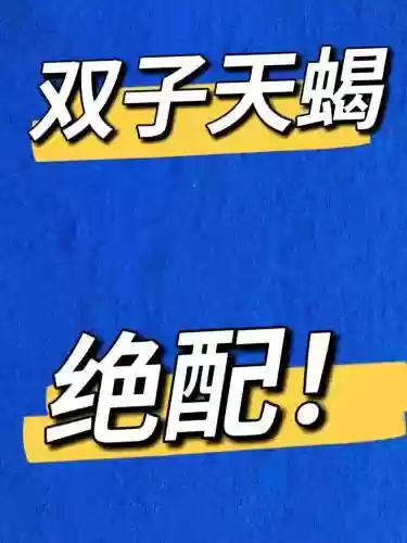 双子天蝎阵容插图1