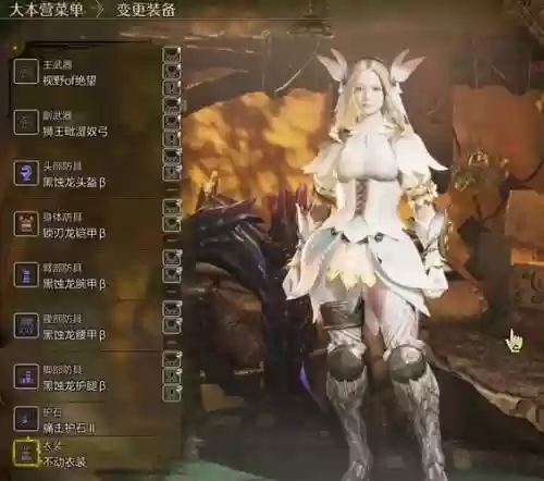 花瓣装备插图