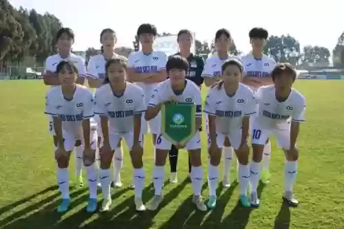 河北女足阵容插图