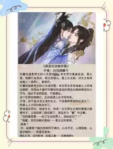 老婆阵容小说插图