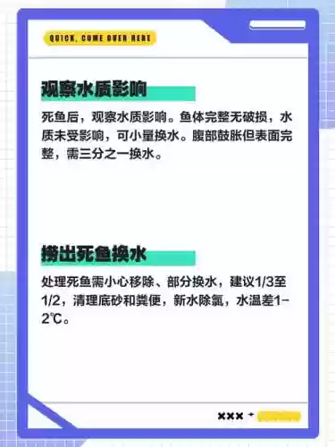 死鱼攻略插图1