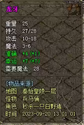 热血传奇法师运9装备插图