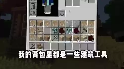 生存世界攻略背包插图