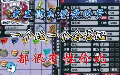 梦幻西游登录随机密码是什么插图