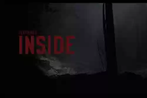 inside攻略过河摔死