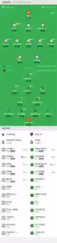 巴西阵容战绩