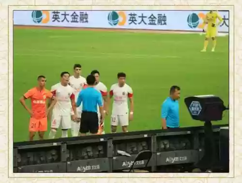 鲁能海港阵容插图1