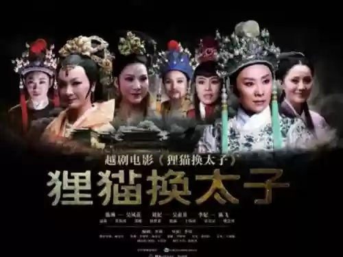 电影狸猫换太子阵容搭配插图