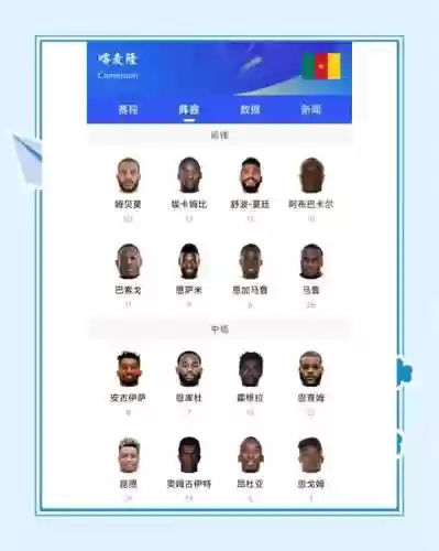 喀麦隆阵容简介插图1