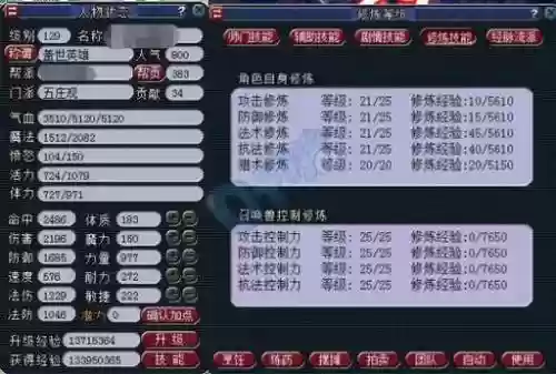 梦幻西游五庄保存属性插图1