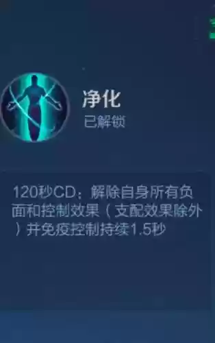 哪些不能被净化技能插图