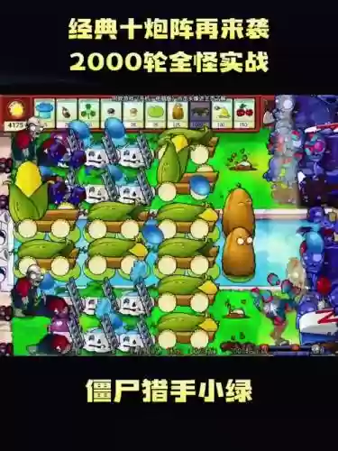 炮胖阵容_1插图1
