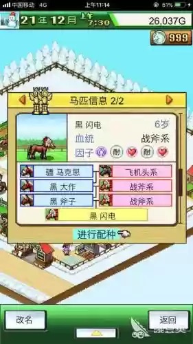 跑马牧场配种攻略_1插图1