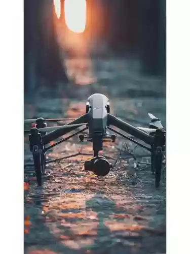 悟2阵容插图1
