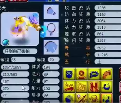 梦幻65蛟龙怎么打技能插图