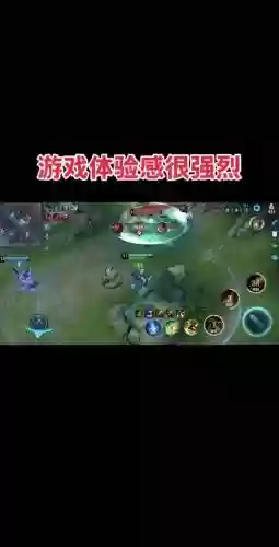 后裔什么阵容插图