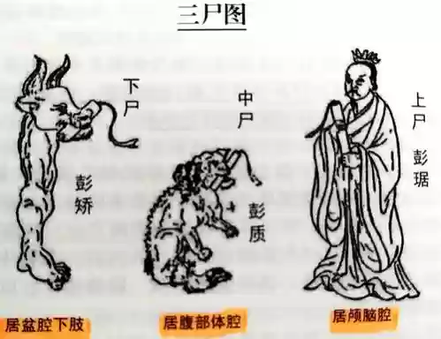 三尸阵容插图1