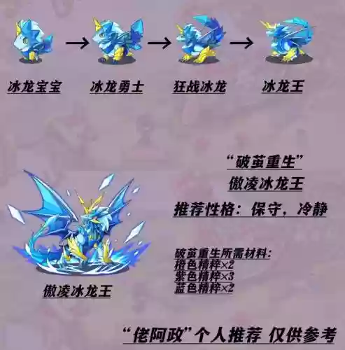 暗影冰龙王技能石那弄