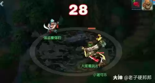 梦幻西游强盗被遮挡插图1
