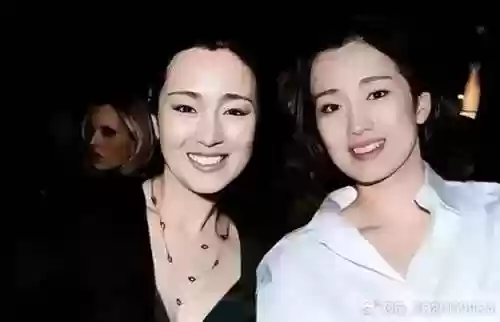 巩俐替身阵容插图