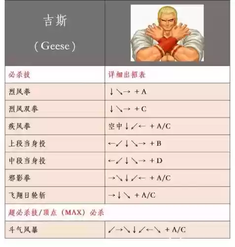 拳皇所有技能介绍插图1