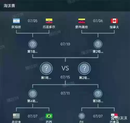巴西阵容战绩插图