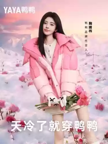 鹅代言阵容插图