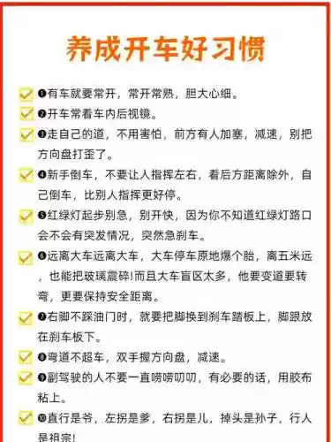 好司机养成记使用攻略插图