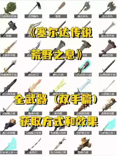 荒野之息最好用的装备插图1