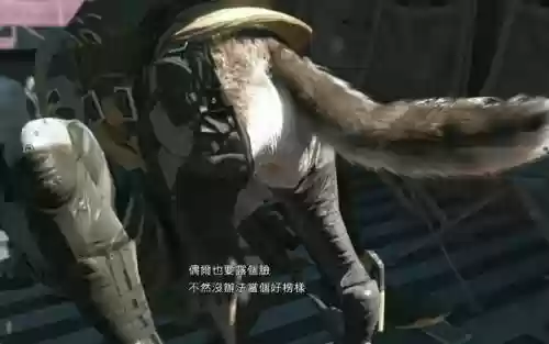 合金装备5怎么看dd插图