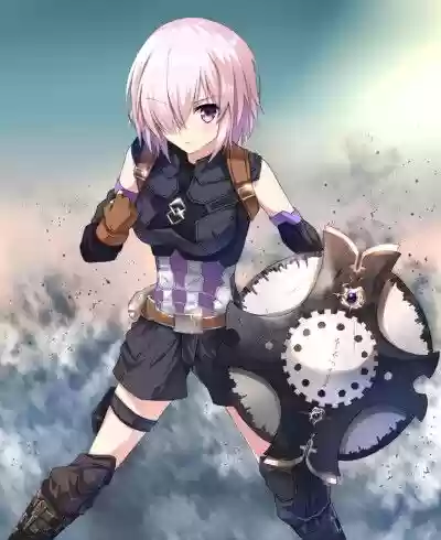 fate盾娘技能_1插图