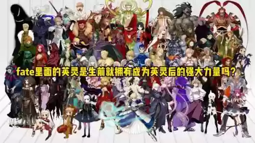 fatec闪阵容搭配_1插图