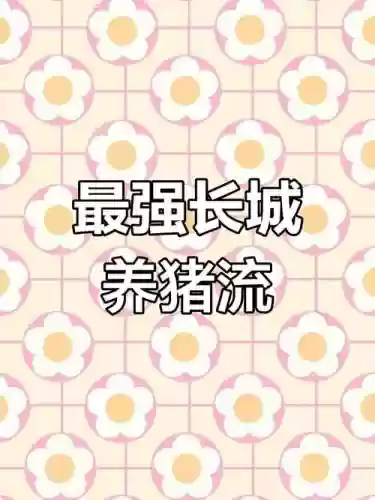 长城养猪阵容搭配_1插图