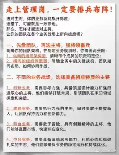 经理阵容搭配思路怎么写插图