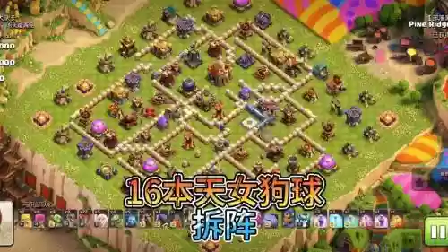 狗球阵容搭配插图1