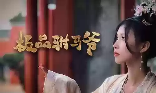 极品驸马爷攻略插图