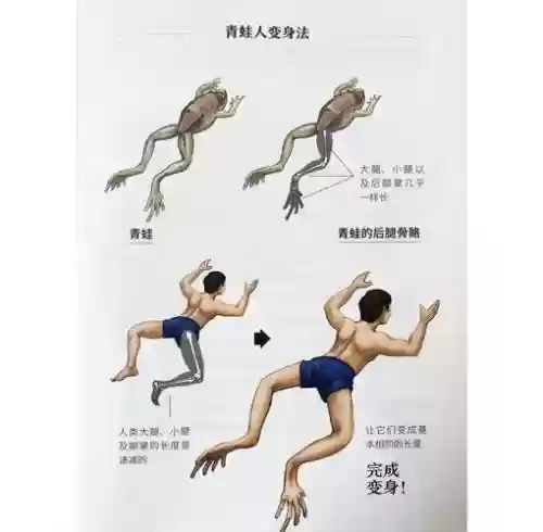 青娃技能