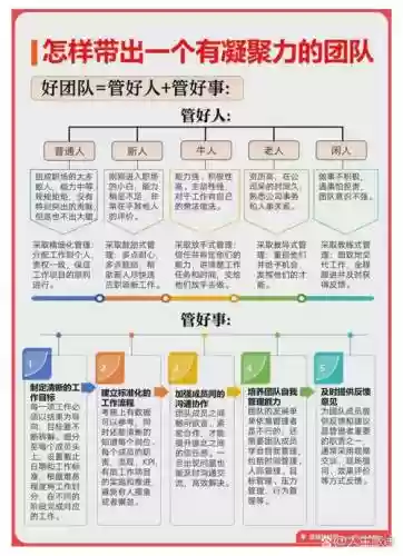经理阵容搭配思路怎么写插图1