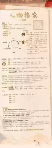 赢政怎么搭配阵容插图
