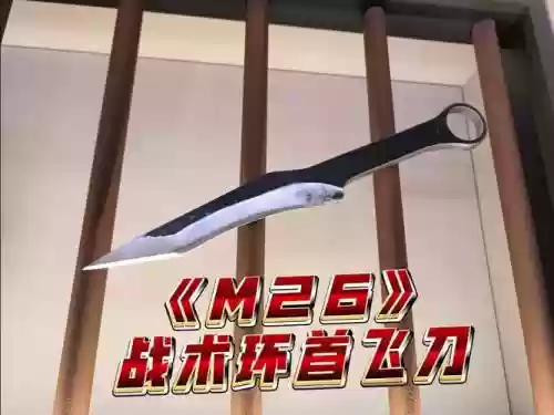 刀飞装备视频插图1