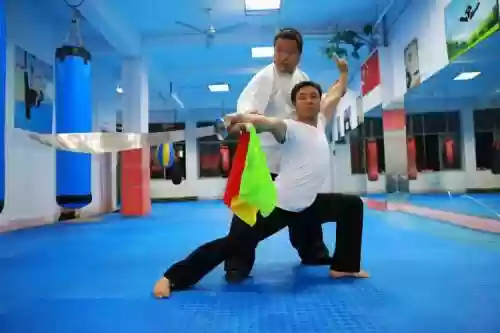 武术导师阵容搭配